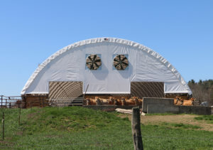 New Barn Roof 3